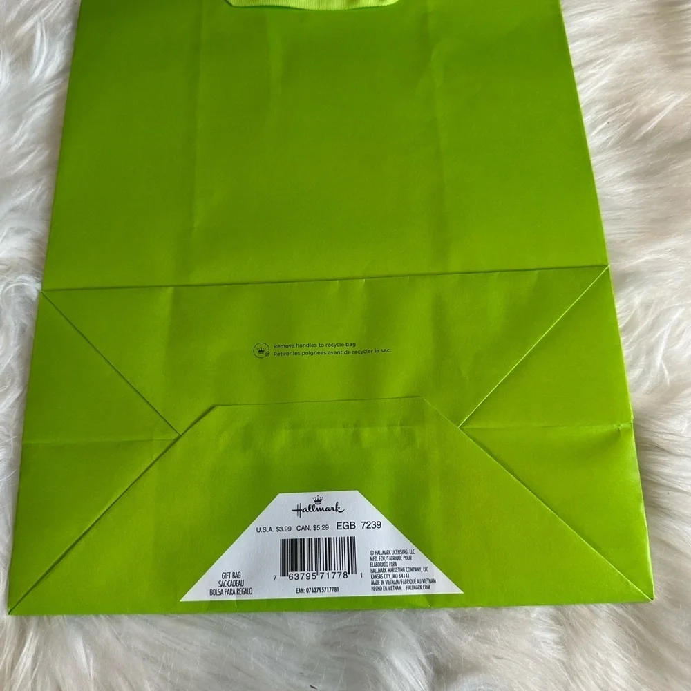 🩷5/$10 Vibrant Green gift  Bag